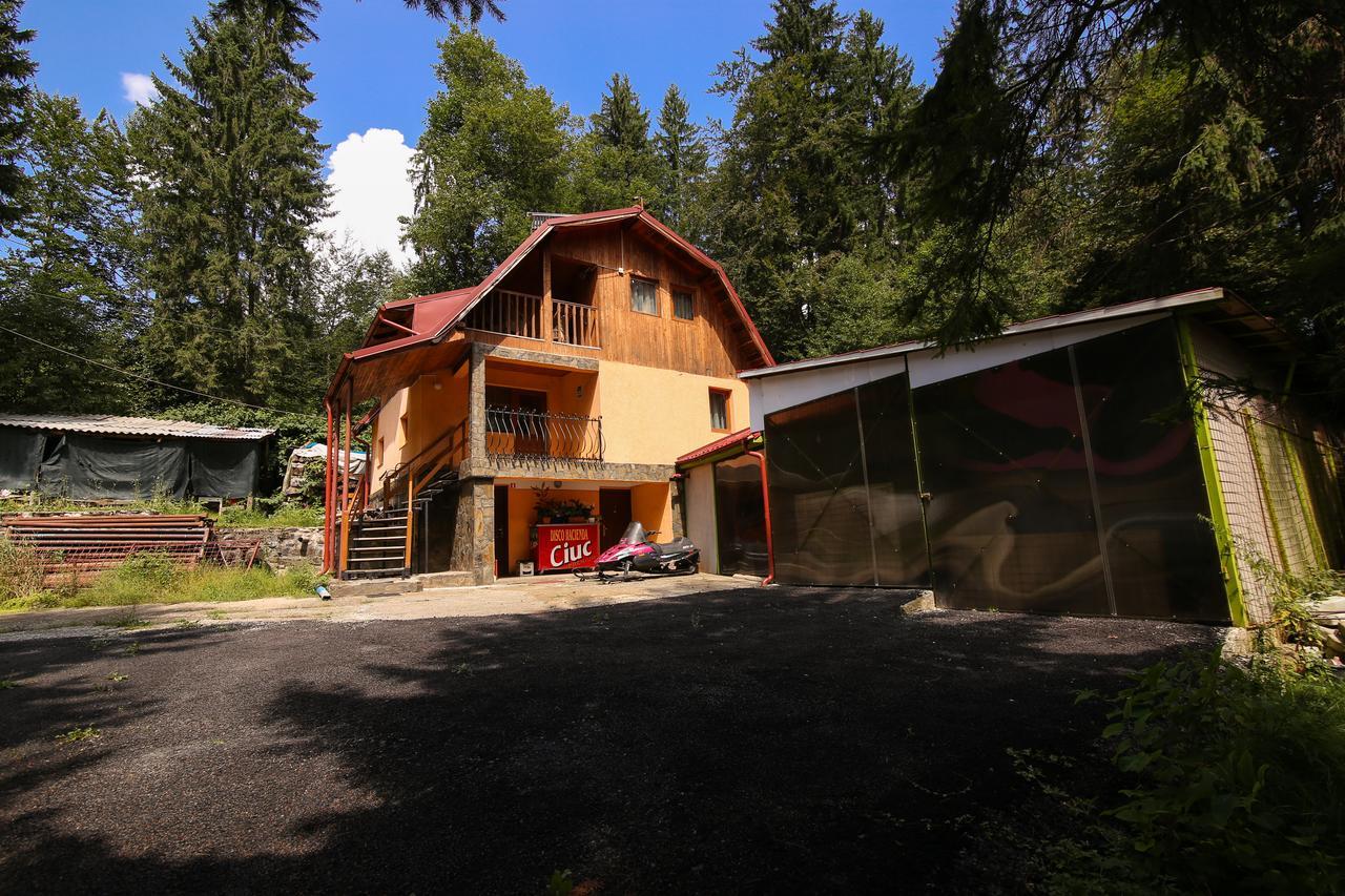 Motel Cotul Donului Predeál Kültér fotó